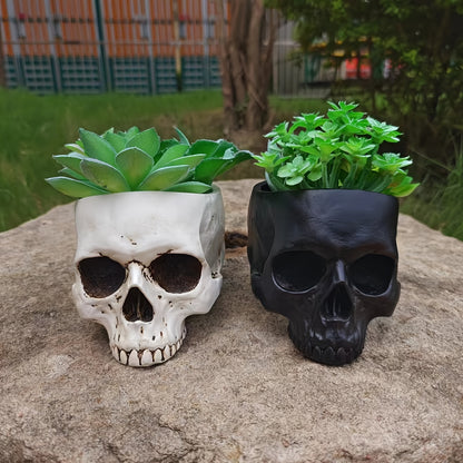 Skull Planter