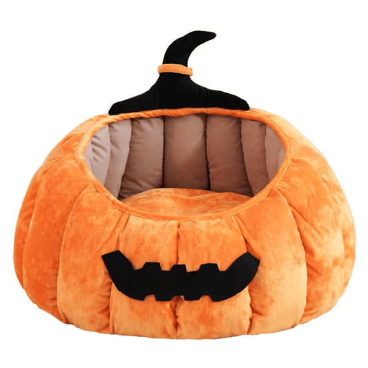 Pumpkin Pet Bed