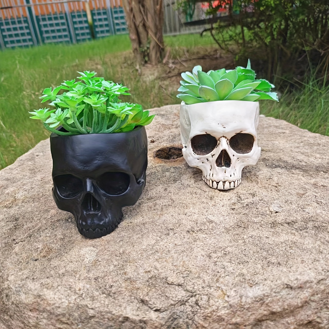 Skull Planter