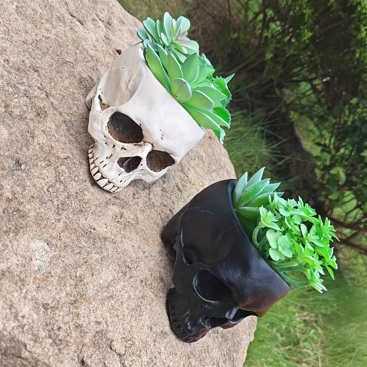 Skull Planter