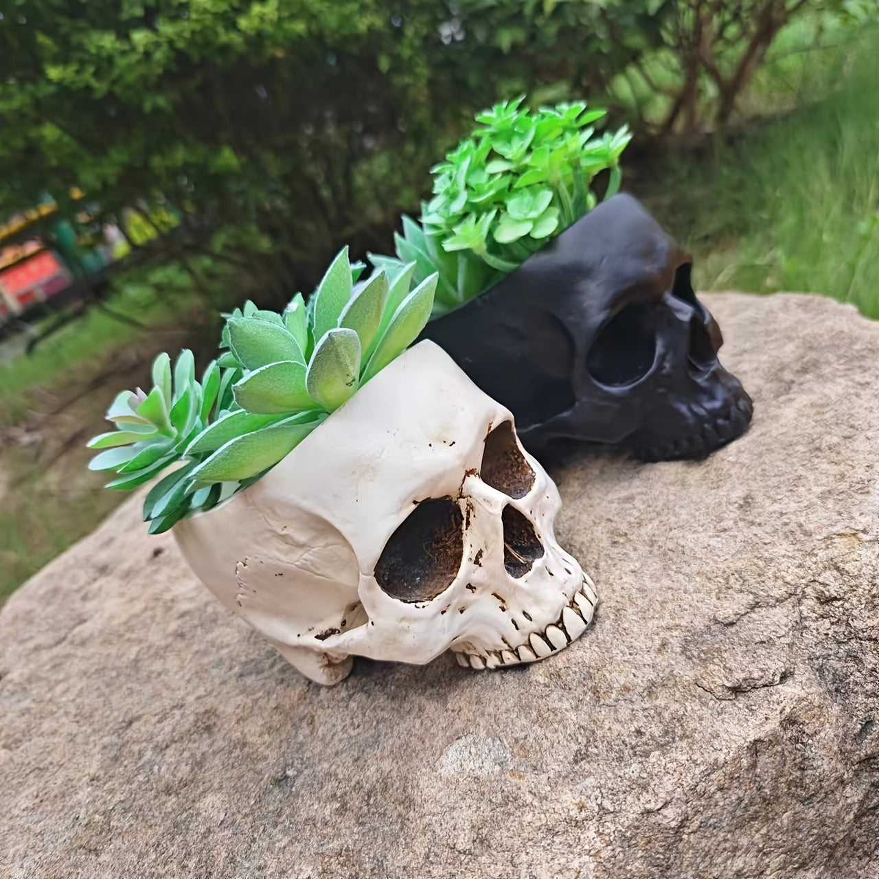 Skull Planter