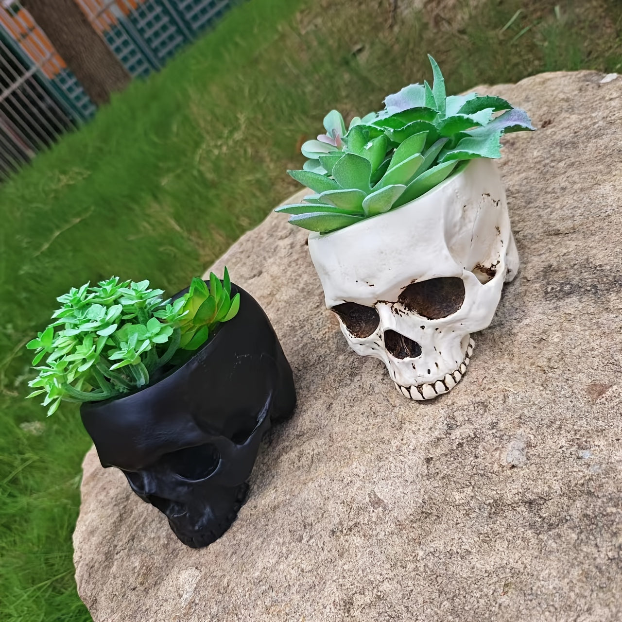 Skull Planter