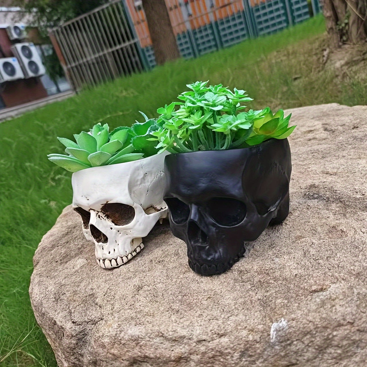 Skull Planter