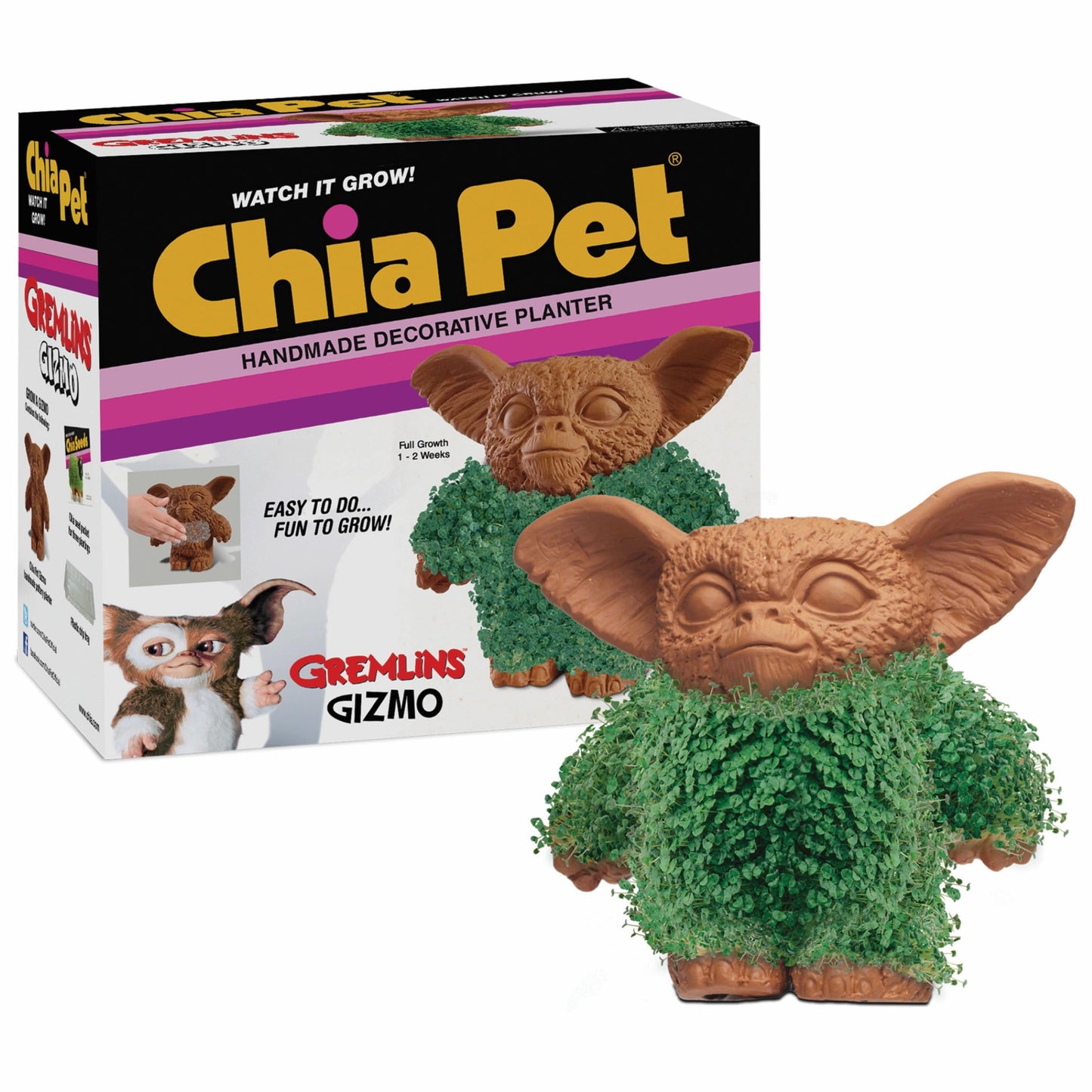 Spooky Chia Pets