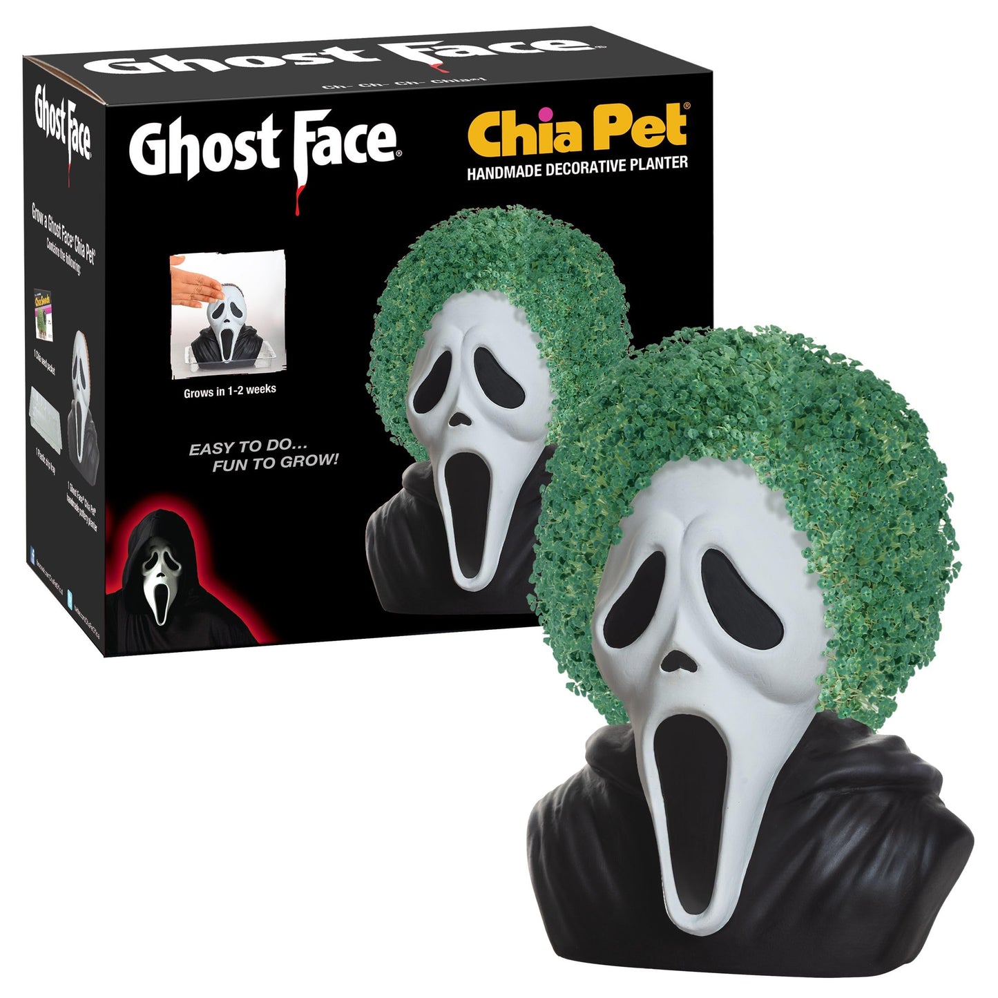 Spooky Chia Pets