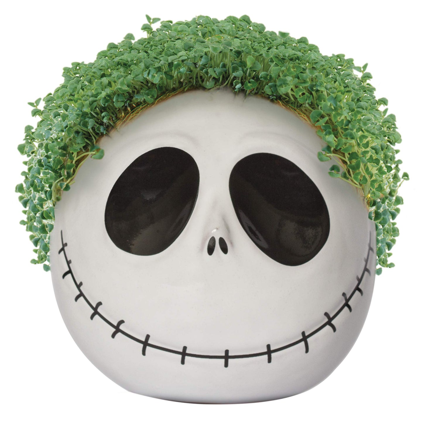 Spooky Chia Pets