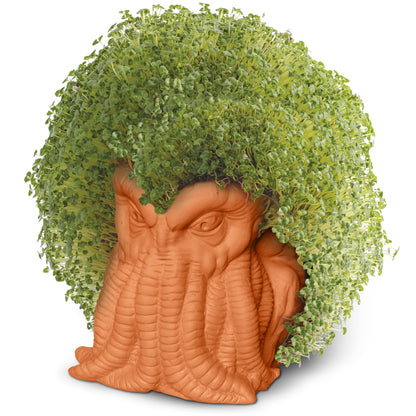 Spooky Chia Pets