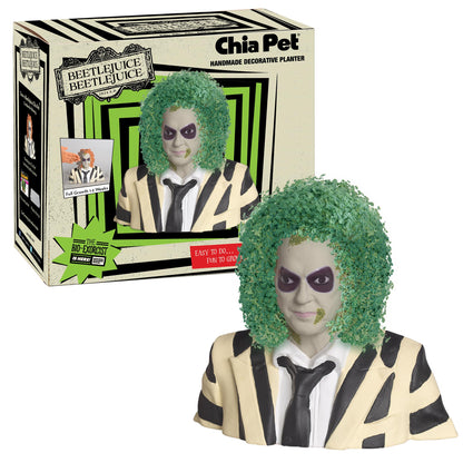 Spooky Chia Pets