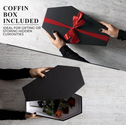 Coffin Shelf with Coffin Gift Box