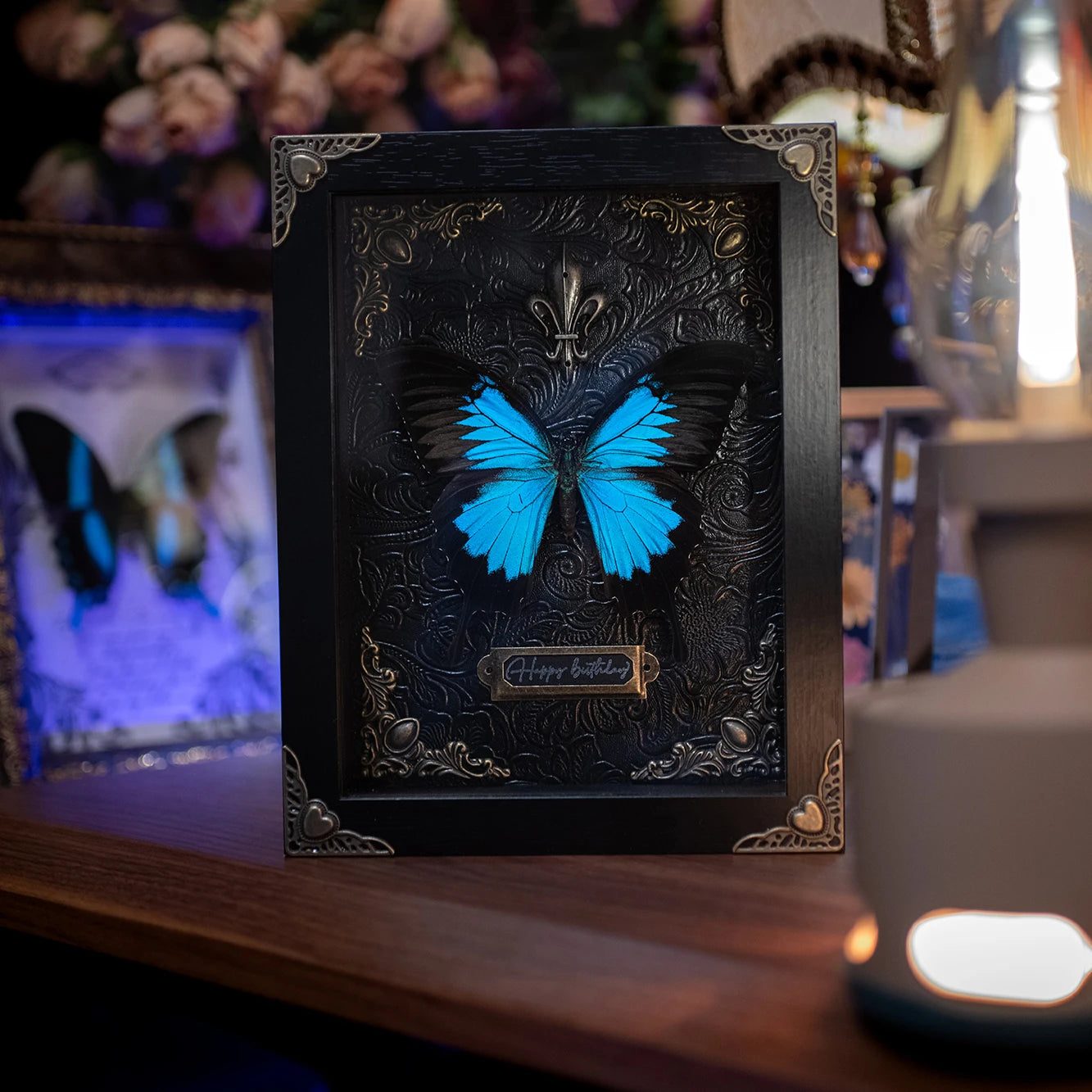 Rebel Butterfly Specimens Photo Frame