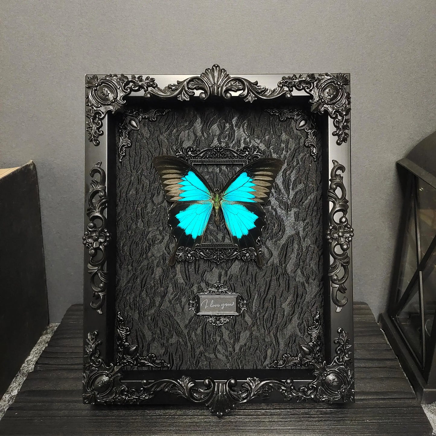 Rebel Butterfly Specimens Photo Frame