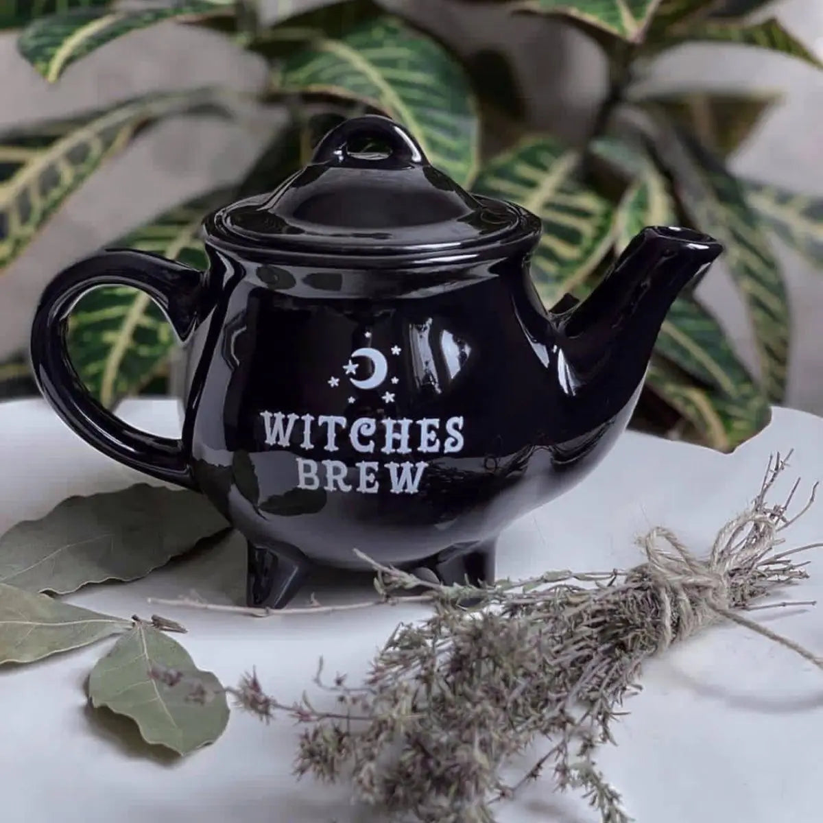 Witches Brew Teapot