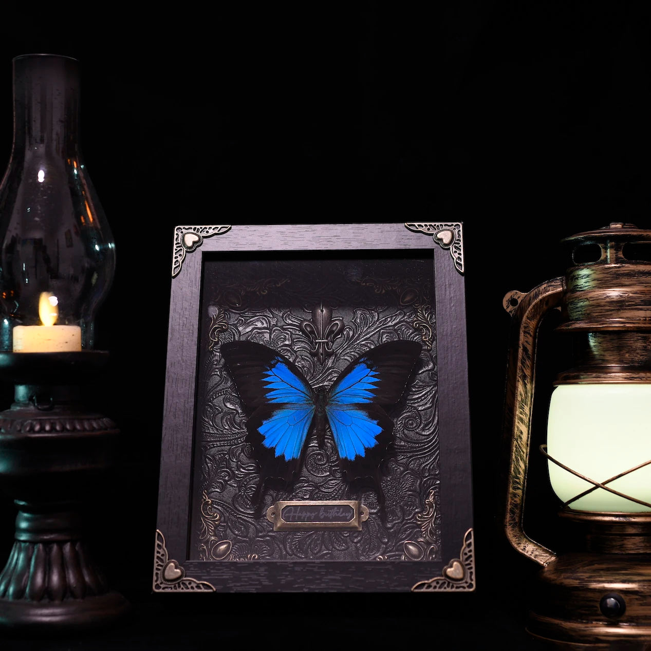 Rebel Butterfly Specimens Photo Frame