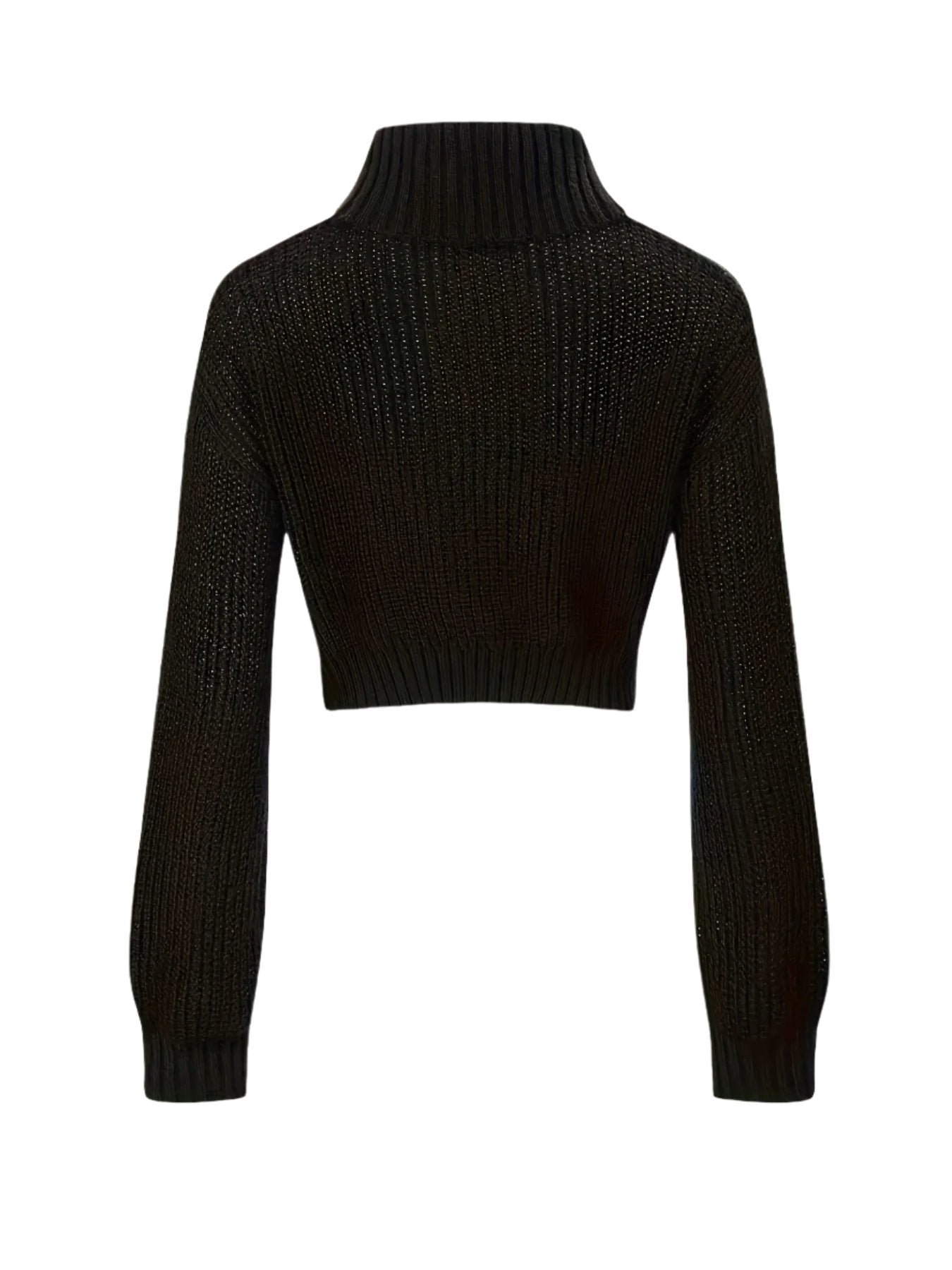 Embroidered Moth Turtleneck Sweater